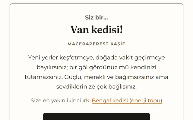 Hangi kedi ırkısın? oyunundan bir görüntü
