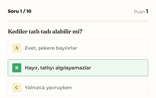 Kedi bilgi yarışması oyunundan bir görüntü