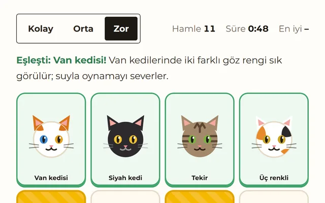 Kedi hafıza oyunu oyunundan bir görüntü
